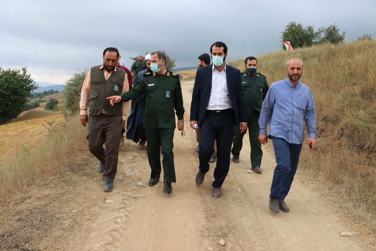  برداشت طرح گندم سپاه در مازندران