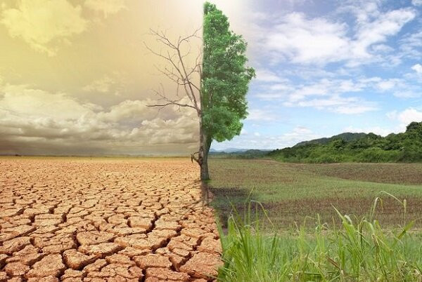 گزینهای جز مدیریت بهتر منابع نداریم