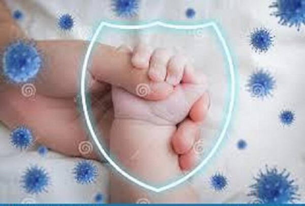 احتمال انتقال کووید 19 از مادر به نوزاد کم است