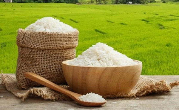 سیاست یک بام و دوهوا در تنظیم بازار برنج