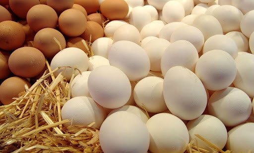گلایه تولیدکنندگان از محصولات پروتئینی و شیرخام