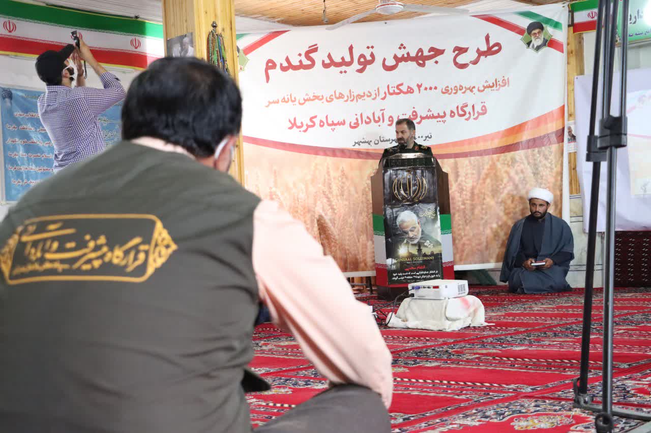  برداشت طرح گندم سپاه در مازندران