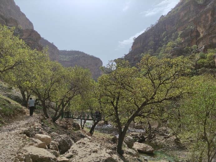 شیرز دره زیبا در اعماق طبیعت منحصر به فرد لرستان