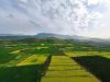 کشت بیش از سه هزار هکتار حبوبات دیم در اراضی کشاورزی شهرستان قزوین