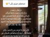پاسخ همسر سابق پژمان جمشیدی به سوالات درباره بازداشت او