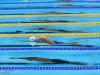  اردوی برون مرزی تیم ملی شنا بدون سرمربی