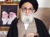 آیت الله محمودی گلپایگانی از مردم برای حضور در انتخابات دعوت کرد