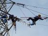 برق ۵۰ دستگاه اداری پرمصرف پایتخت قطع شد