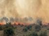 تلاش برای مهار آتش‌سوزی پارک جنگلی ریخک در سرپل‌ذهاب
