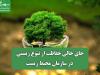 جای خالی حفاظت از تنوع زیستی در سازمان محیط زیست
