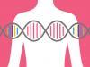 آزمایش ژنتیک سرطان سینه با هزینه کم و زمان آماده سازی کوتاه