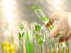 امنیت غذایی پایدار با حفظ تنوع زیستی و منابع ژنتیکی