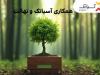 ۱۵ درصد تخفیف خرید نهال برای کاربران آسیاتک در هفته درختکاری