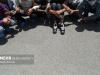 بازداشت ۱۷ نفر در اجرای طرح امنیت محله‌محور ملایر
