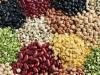 واردات حبوبات و گندم از اتحادیه اوراسیا با تعرفه صفر