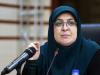 مهاجرانی: دولت و بخش خصوصی فهم و زبان مشترک ندارند