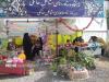 ۱۶ عنوان برنامه در هفته فرهنگی فریدن اجرا می‌شود