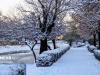 هشدار نارنجی در استان سمنان؛ هم‌نشینی برف، کولاک و یخ‌بندان