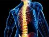 افزایش درد و مشکلات ستون فقرات در نسل جوان