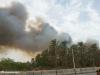 مهار آتش‌سوزی در نخیلات منطقه آب‌پخش
