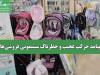 پیامد حرکت عجیب و خطرناک سیسمونی فروشی‌ها