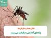 پشه‌های آدم‌کش به پایتخت می‌رسند؛ اعلان هشدار به تهرانی‌ها!