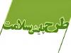 آغاز پایش تخصصی سلامت جانبازان گروه‌های خاص در کهگیلویه و بویراحمد