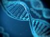 ویروس‌های باستانی DNA عامل ابتلا به بیماری روانی