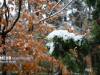 رحمان نیا: هشدار سطح نارنجی هواشناسی در استان زنجان صادر شد