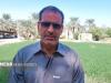 نارویی: برداشت چین سوم حنا در شهرستان دلگان انجام شد