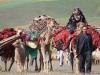جاده چالوس به دلیل کوچ فصلی عشایر یک روز بسته می‌شود