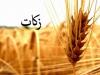 کردستانی‌ها ۸۱ میلیارد تومان زکات پرداخت کردند
