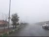 هشدار مه صبحگاهی در محورهای استان بوشهر