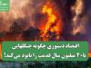 اقتصاد دستوری چگونه جنگلهایی با۴۰ میلیون سال قدمت را نابود می‌کند!