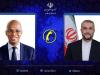 گفتگوی تلفنی امیرعبداللهیان و وزیر خارجه تانزانیا