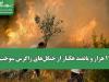 ۱۱ هزار و پانصد هکتار از جنگل‌های زاگرس سوخت