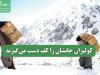 کولبران جانشان را کف دست می‌گیرند