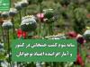 سایه شوم کشت خشخاش در کشور و آمار افزاینده اعتیاد نوجوانان