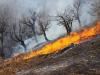 تلاش‌ گروه‌های مردمی برای مهار آتش‌سوزی مراتع ثلاث‌باباجانی