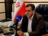 فعالیت زنبورهای گالزا در بلوط‌های بدره تهدیدی برای جنگل محسوب نمی‌شود