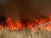 وقوع آتش‌سوزی در ارتفاعات جنگلی کازرون کوهچنار