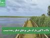 تالاب لاگون پارک ملی بوجاق دیگر زنده نیست