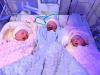 نخستین تولد سه‌قلوهای سالم با IVF در کردستان