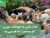 غذارسانی به حیوانات شهری، اکوسیستم را به هم می‌زند