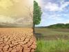 بیابان‌زایی در اصفهان رو به افزایش است