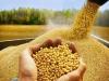 توزیع ۷۵ تن کالای اساسی برای حمایت از تولید کنندگان البرزی