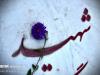 جهادگران فرهنگی جهاددانشگاهی با شهدای گمنام تجدید میثاق کردند