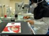 راه‌اندازی بخش درمان ناباروری توسط متخصصان ایرانی در کربلا