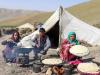 بررسی وضعیت تغذیه‌ای عشایر در ۱۳ استان کشور / نیاز به تامین منابع برای تکمیل طرح در ۷ استان