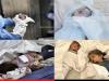 شهادت ۳۵ شهروند فلسطینی در غزه